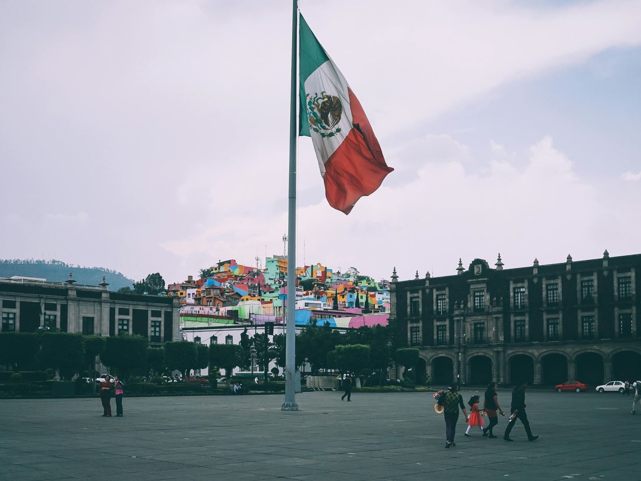 Messico si prepara alla stretta UE sulla deforestazione: tracciabilità rafforzata per continuare a esportare in Europa