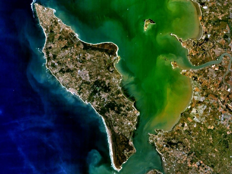 Francia, auto contro pedoni sull’isola d’Oléron: dieci feriti. Fermato l’uomo, ha gridato “Allah Akbar”