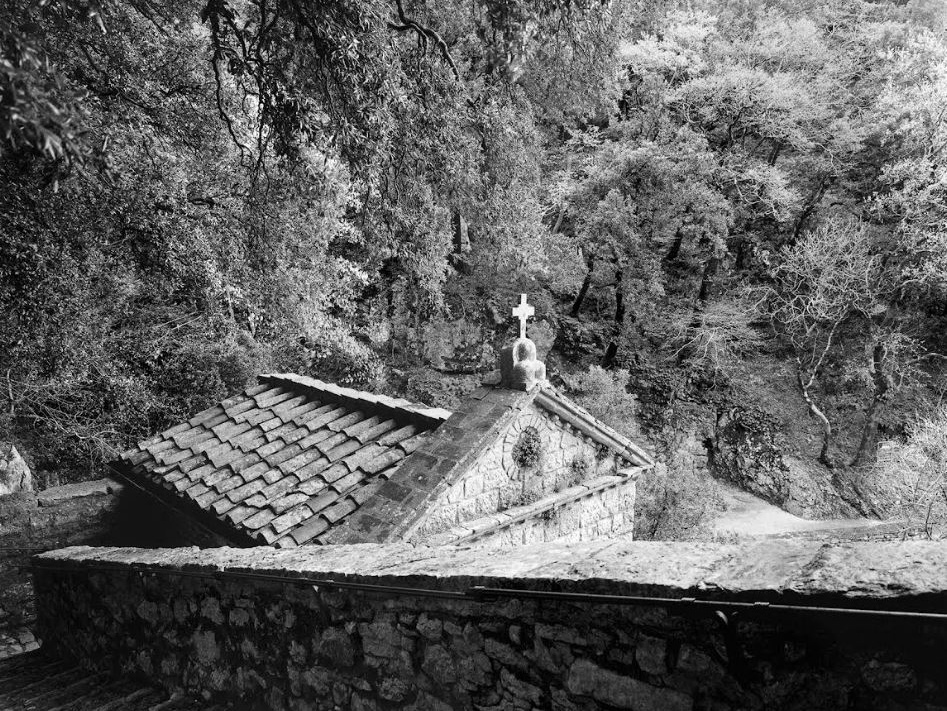 L’arte nel weekend, dagli scatti di Lee Miller alle sperimentazioni artistiche di Picasso