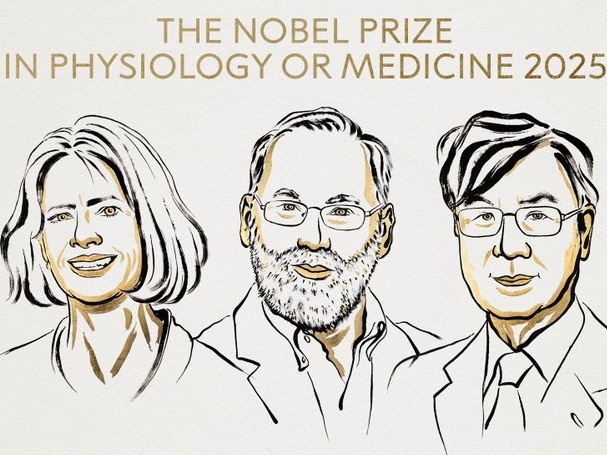 Brunkow, Ramsdell e Sakaguchi premiati col Nobel per la Medicina