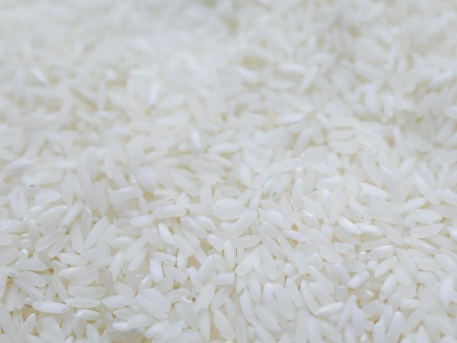 Ottant’anni di Riso Carnaroli: l’Italia celebra l’eccellenza nata da Emiliano Carnaroli