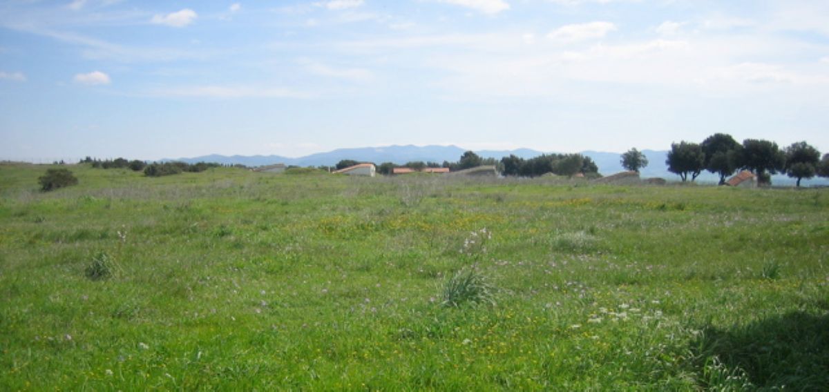 Scoperta a Tarquinia una tomba etrusca inviolata dell’VIII secolo A.C.